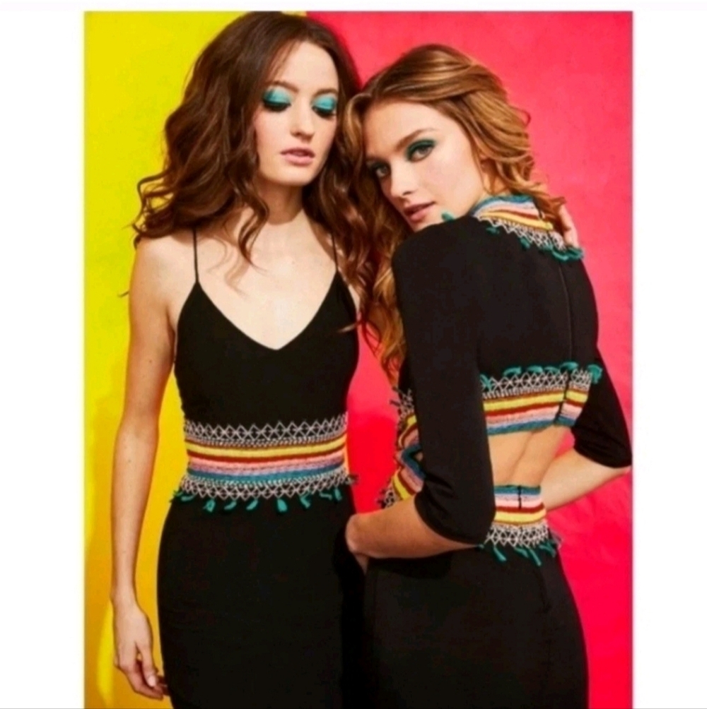 Alice + Olivia Tamson Embroidred Fitted Open Back Mini Dress Size 8 - Picture 4 of 13